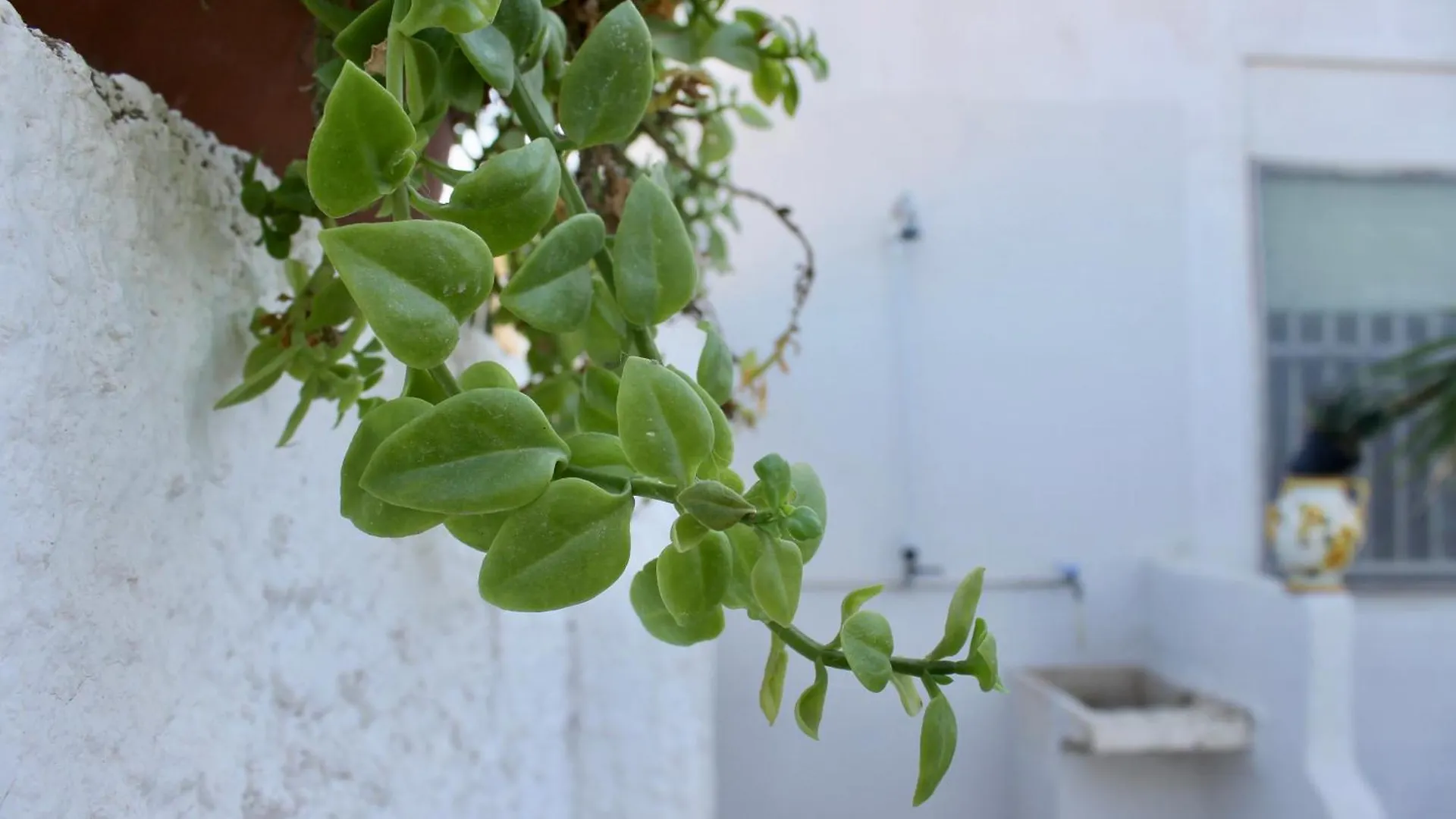 Oltremare Apartment Scoglitti
